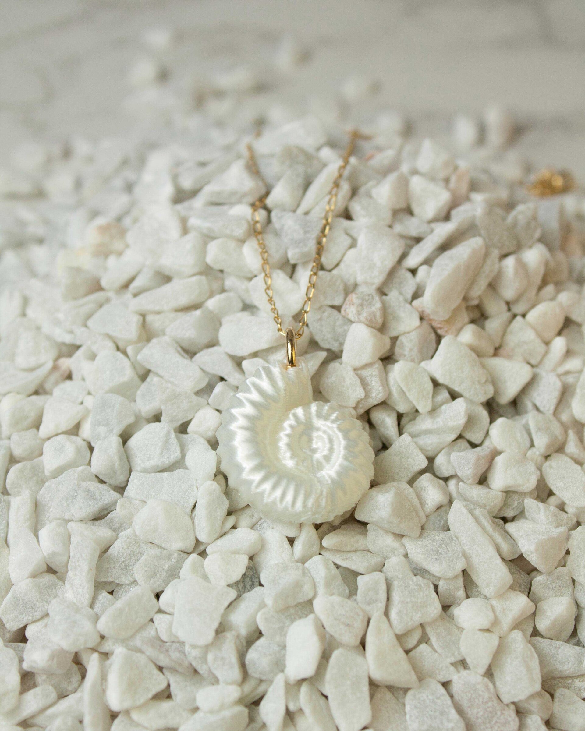 Colgante Amonites Pearl - 3